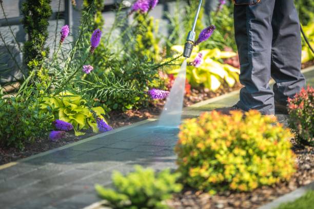 Reliable Memphis, MO Pressure Washing Services Solutions